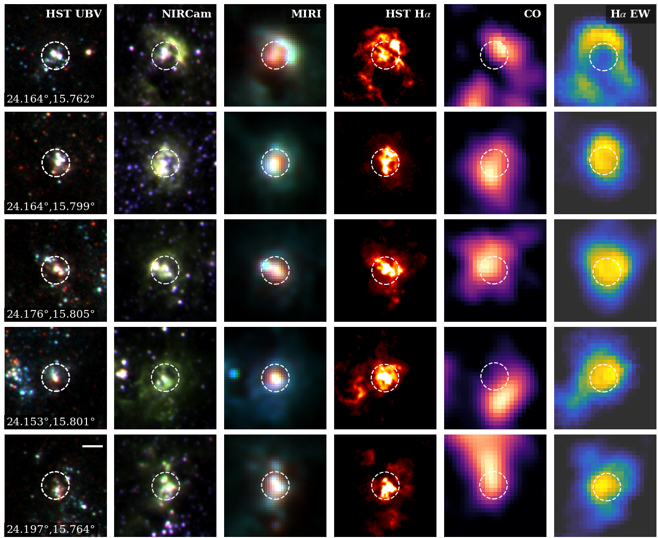 JWST mid-infrared composite of nearby galaxies