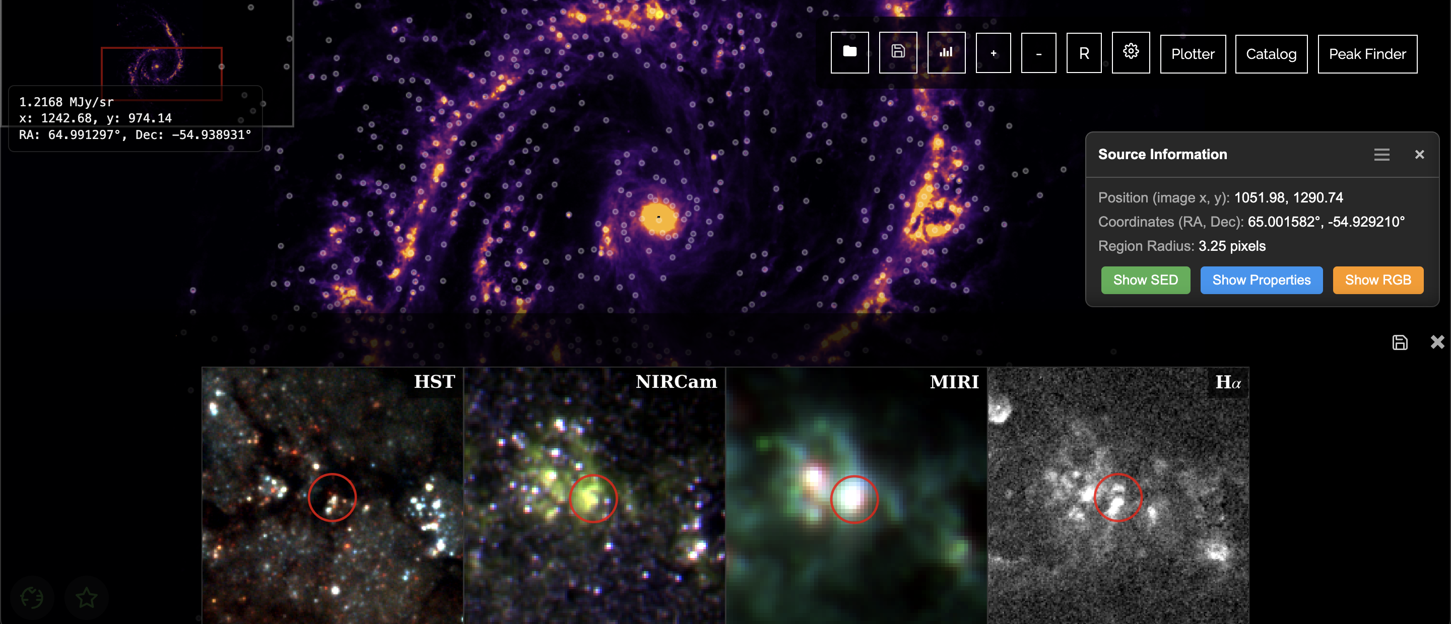 Neloura catalog overlays and diagnostics